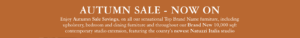 Autumn Sale Now On Web Banner